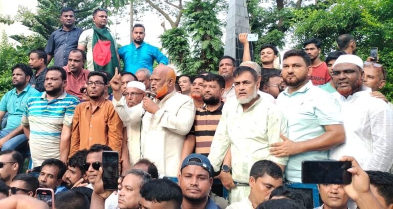 গণঅভ্যুত্থান দিবসে বোয়ালখালী বিএনপির বিজয় মিছিল