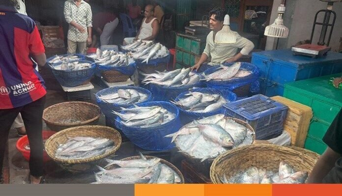 ilish