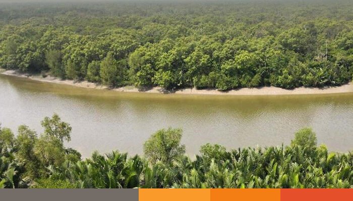 আজ থেকে খুলেছে সুন্দরবনের দুয়ার