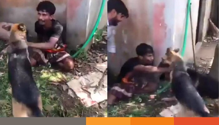 কুমিল্লায় চোর সন্দেহে কুকুর লেলিয়ে যুবককে নির্যাতন, আটক ৩