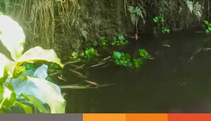 নেত্রকোনার বীরমুহুরী গ্রামে বৃদ্ধার মরদেহ উদ্ধার