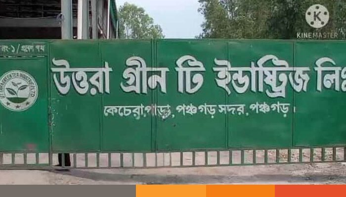 উত্তরা চা কারখানায় হিসাবে গড়মিল, শোকজের জবাব দেননি পরিচালক