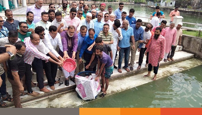 বিএনপির ৪৭তম প্রতিষ্ঠা বার্ষিকী উপলক্ষে মাছের পোনা অবমুক্ত