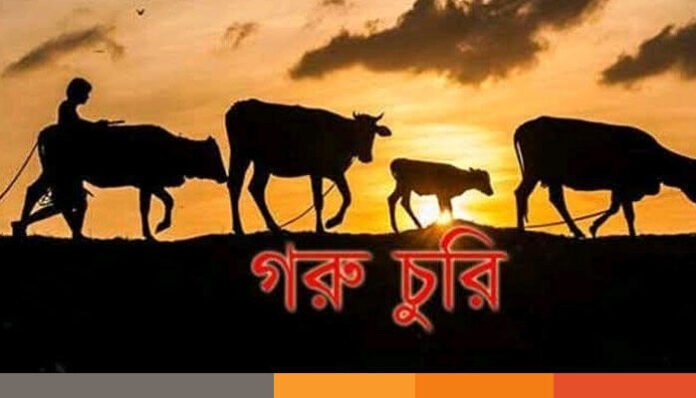 গাংনীর ভাটপাড়া গ্রামে ৩টি গরু চুরি গাংনীর ভাটপাড়া গ্রামে ৩টি গরু চুরি