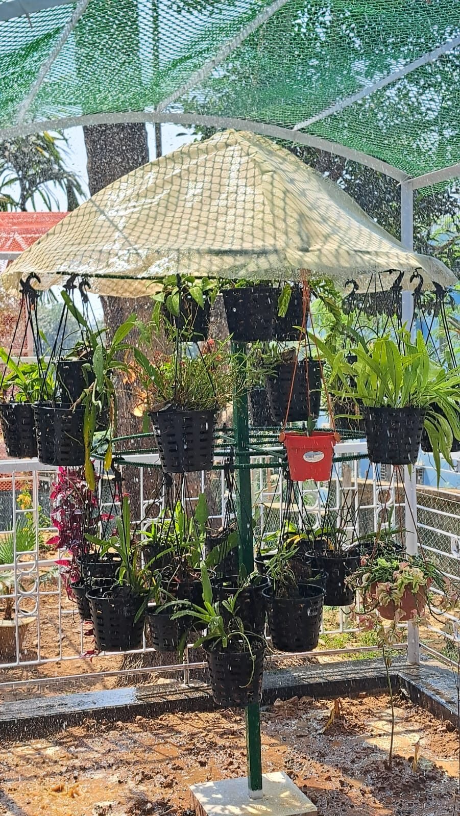 WhatsApp Image 2025-09-06 at 9.52.12 PM