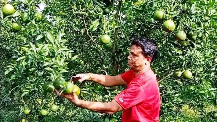 WhatsApp Image 2025-10-23 at 11.24.32 AM