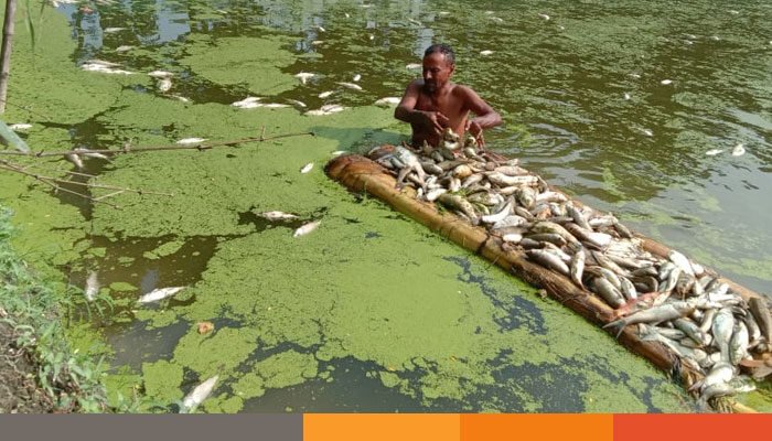 চুয়াডাঙ্গা