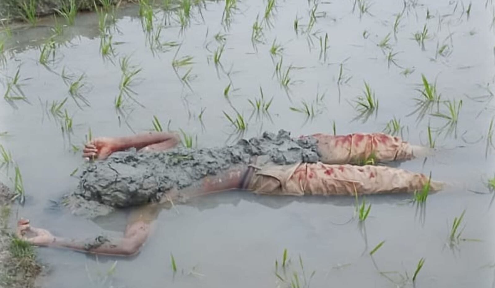 WhatsApp Image 2026-01-01 at 6.29.09 PM