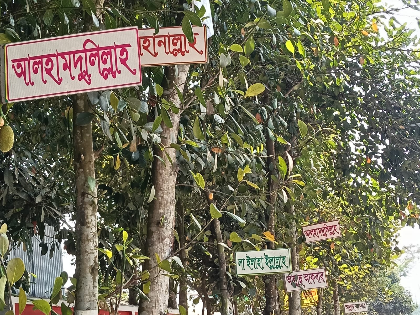 WhatsApp Image 2026-02-16 at 8.39.49 PM