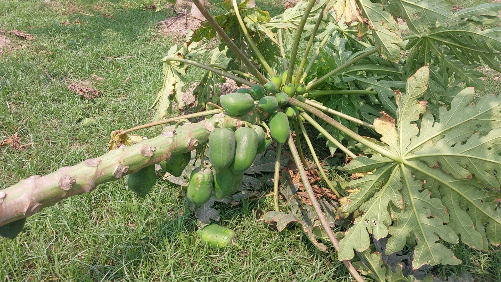 WhatsApp Image 2026-03-16 at 10.43.05 PM