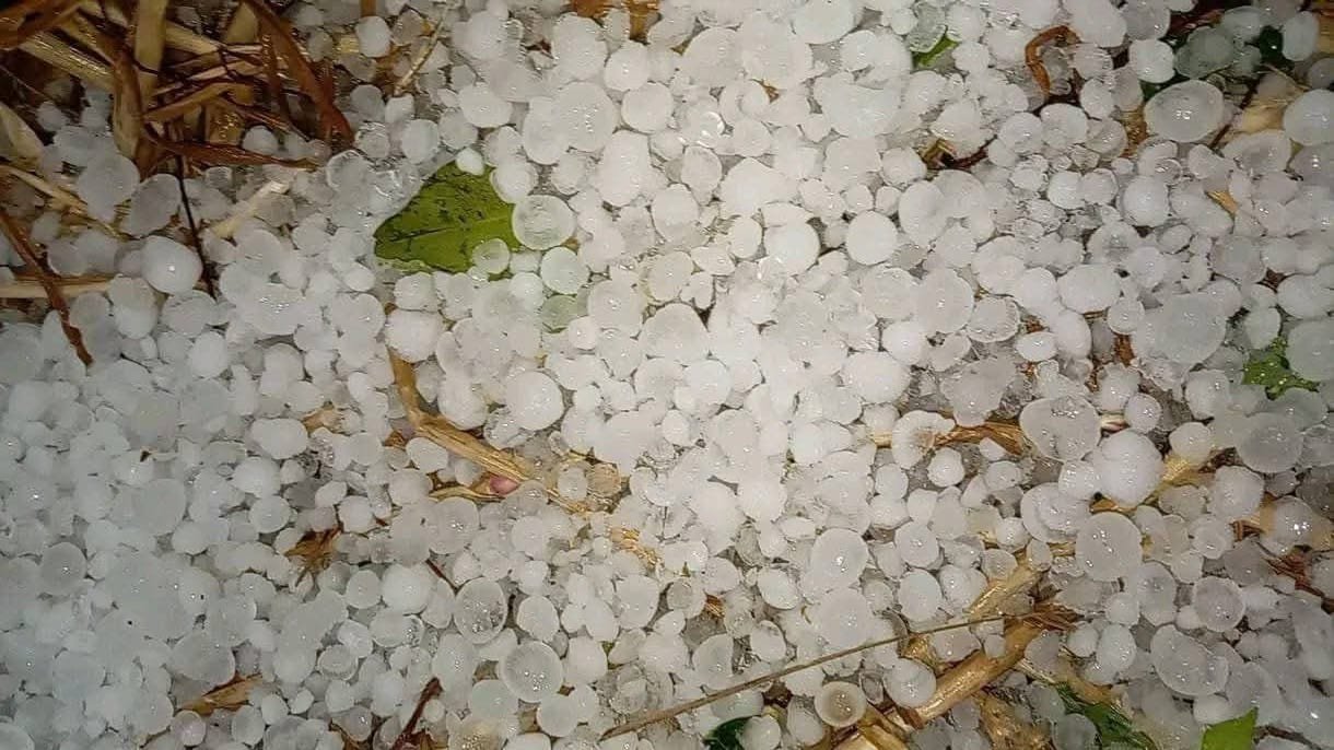 WhatsApp Image 2026-04-07 at 10.42.29 PM