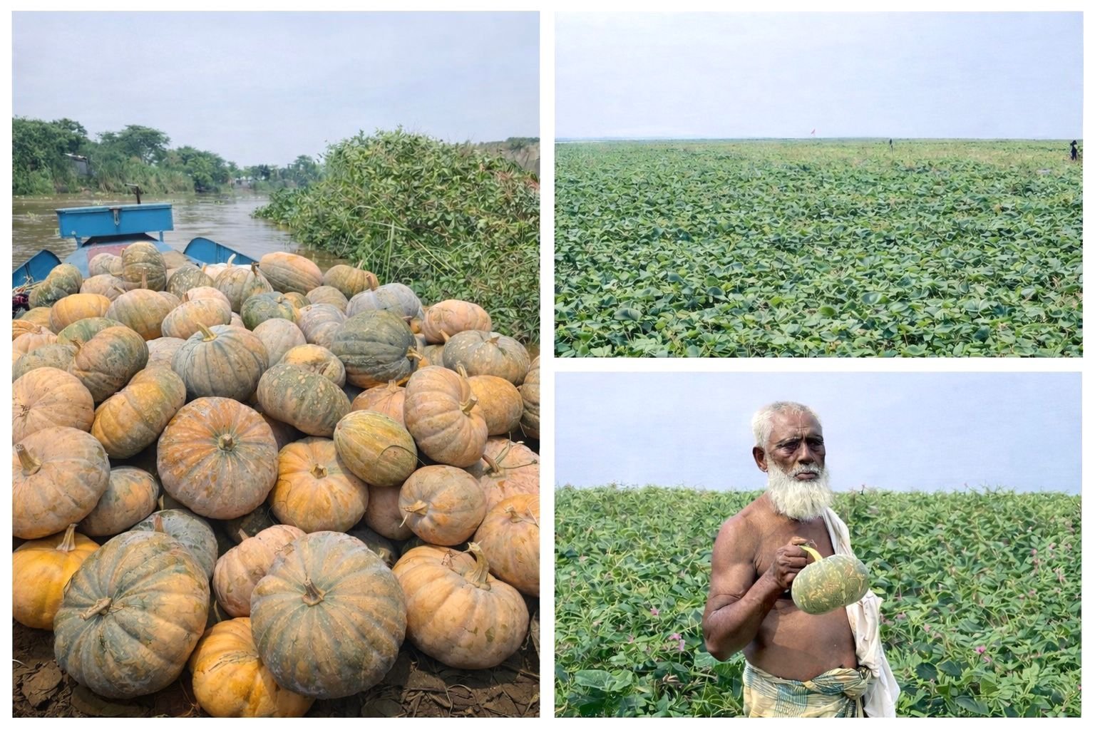 WhatsApp Image 2026-04-13 at 8.32.22 PM