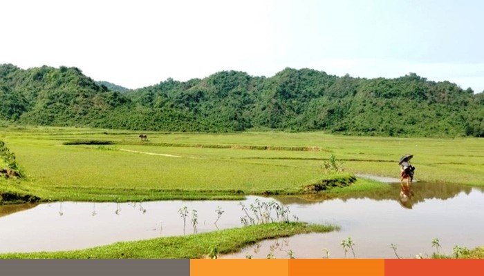 netrokona