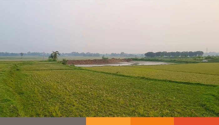 chapainababgonj