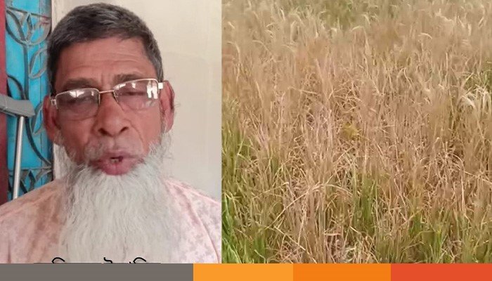 rajshai