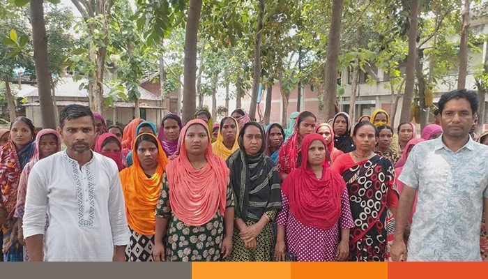 tangail