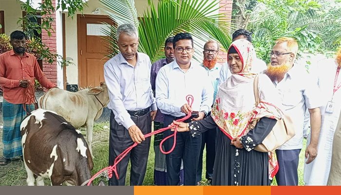 21