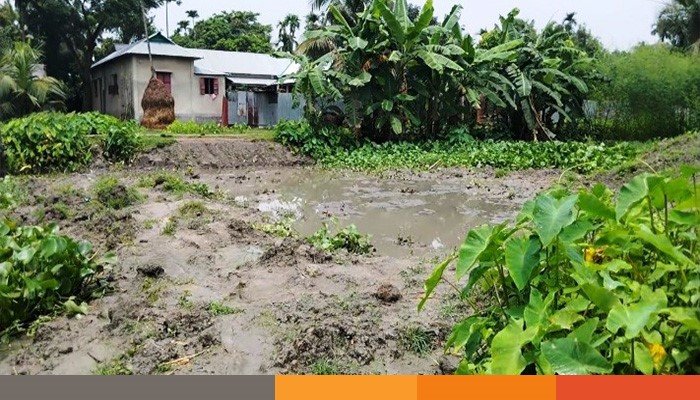netrokona